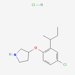 molecular formula C14H21Cl2NO B1397619 3-[2-(sec-Butyl)-4-chlorophenoxy]pyrrolidine hydrochloride CAS No. 1219979-09-5