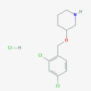 molecular formula C12H16Cl3NO B1397620 3-(2,4-Dichloro-benzyloxy)-piperidine hydrochloride CAS No. 1219980-92-3