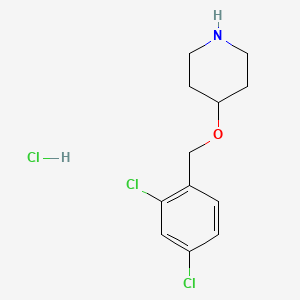 molecular formula C12H16Cl3NO B1397621 4-(2,4-Dichloro-benzyloxy)-piperidine hydrochloride CAS No. 1220033-07-7