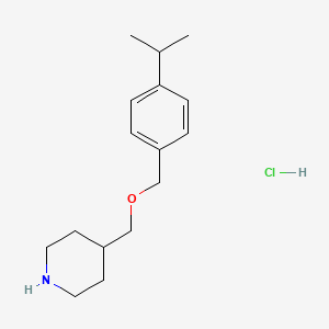 molecular formula C16H26ClNO B1397622 4-{[(4-Isopropylbenzyl)oxy]methyl}piperidine hydrochloride CAS No. 1219981-16-4