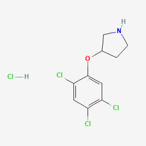 molecular formula C10H11Cl4NO B1397625 3-(2,4,5-Trichlorophenoxy)pyrrolidine hydrochloride CAS No. 1220028-52-3