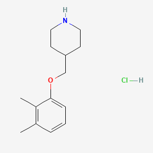 molecular formula C14H22ClNO B1397626 4-[(2,3-Dimethylphenoxy)methyl]piperidine hydrochloride CAS No. 1219960-69-6