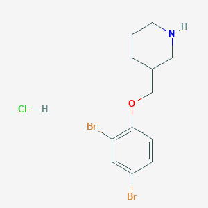 molecular formula C12H16Br2ClNO B1397631 3-[(2,4-Dibromophenoxy)methyl]piperidine hydrochloride CAS No. 1219981-35-7