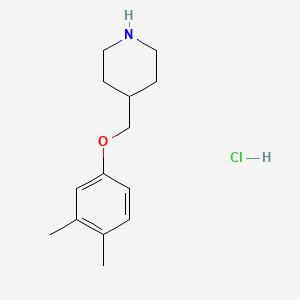 molecular formula C14H22ClNO B1397632 4-[(3,4-二甲基苯氧基)甲基]哌啶盐酸盐 CAS No. 1220028-16-9