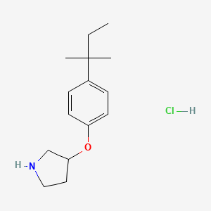 molecular formula C15H24ClNO B1397633 4-(叔戊基)苯基 3-吡咯烷基醚盐酸盐 CAS No. 1219982-42-9