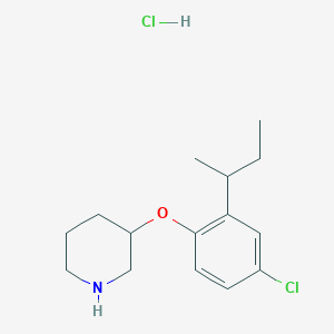 molecular formula C15H23Cl2NO B1397644 3-[2-(叔丁基)-4-氯苯氧基]哌啶盐酸盐 CAS No. 1219972-71-0