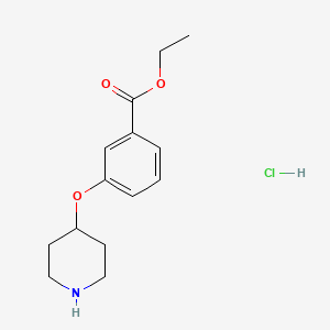 molecular formula C14H20ClNO3 B1397647 3-(4-哌啶氧基)苯甲酸乙酯盐酸盐 CAS No. 1220019-62-4