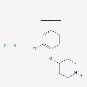 molecular formula C15H23Cl2NO B1397653 4-[4-(tert-Butyl)-2-chlorophenoxy]piperidine hydrochloride CAS No. 1219972-11-8