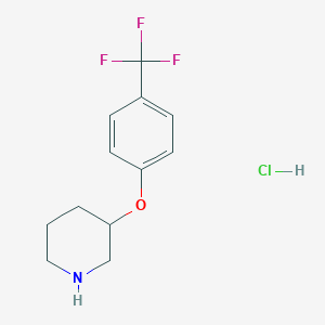 molecular formula C12H15ClF3NO B1397655 3-[4-(Trifluoromethyl)phenoxy]piperidine hydrochloride CAS No. 1220033-97-5