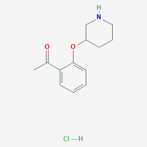 molecular formula C13H18ClNO2 B1397662 1-[2-(3-Piperidinyloxy)phenyl]-1-ethanone hydrochloride CAS No. 1220036-55-4