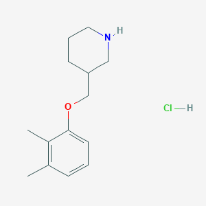 molecular formula C14H22ClNO B1397664 3-[(2,3-二甲基苯氧基)甲基]哌啶盐酸盐 CAS No. 1220033-58-8