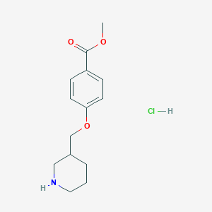 molecular formula C14H20ClNO3 B1397666 盐酸4-(3-哌啶基甲氧基)苯甲酸甲酯 CAS No. 1219972-65-2