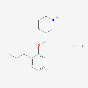 molecular formula C15H24ClNO B1397667 3-[(2-丙基苯氧基)甲基]哌啶盐酸盐 CAS No. 1219960-74-3