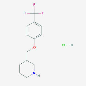 molecular formula C13H17ClF3NO B1397668 3-{[4-(三氟甲基)苯氧基]甲基}哌啶盐酸盐 CAS No. 1220037-57-9