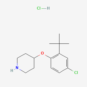 molecular formula C15H23Cl2NO B1397673 盐酸4-[2-(叔丁基)-4-氯苯氧基]哌啶 CAS No. 1146960-66-8