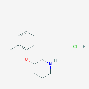molecular formula C16H26ClNO B1397674 3-[4-(叔丁基)-2-甲基苯氧基]哌啶盐酸盐 CAS No. 1220030-77-2