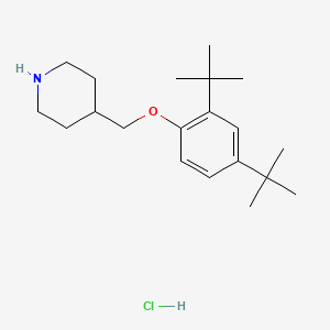 molecular formula C20H34ClNO B1397675 4-{[2,4-二(叔丁基)苯氧基]甲基}哌啶盐酸盐 CAS No. 1220021-32-8