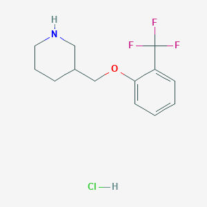molecular formula C13H17ClF3NO B1397678 3-{[2-(三氟甲基)苯氧基]甲基}哌啶盐酸盐 CAS No. 1219960-58-3