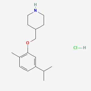 molecular formula C16H26ClNO B1397679 4-[(5-异丙基-2-甲基苯氧基)甲基]哌啶盐酸盐 CAS No. 1220019-53-3