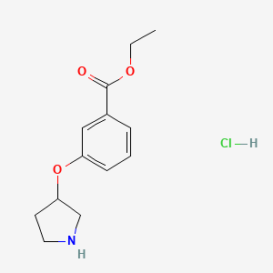 molecular formula C13H18ClNO3 B1397680 3-(3-吡咯烷基氧基)苯甲酸乙酯盐酸盐 CAS No. 1219960-96-9