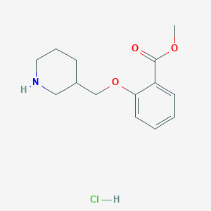 molecular formula C14H20ClNO3 B1397681 2-(3-哌啶基甲氧基)苯甲酸甲酯盐酸盐 CAS No. 1220020-77-8