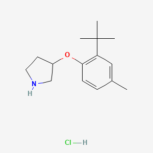 molecular formula C15H24ClNO B1397682 3-[2-(叔丁基)-4-甲基苯氧基]吡咯烷盐酸盐 CAS No. 1219979-42-6