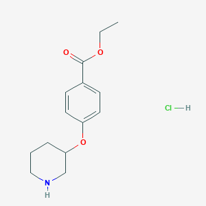 molecular formula C14H20ClNO3 B1397683 Ethyl 4-(3-piperidinyloxy)benzoate hydrochloride CAS No. 1220020-88-1