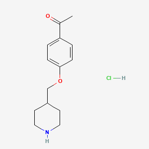 molecular formula C14H20ClNO2 B1397684 1-[4-(4-Piperidinylmethoxy)phenyl]-1-ethanone hydrochloride CAS No. 1220021-33-9