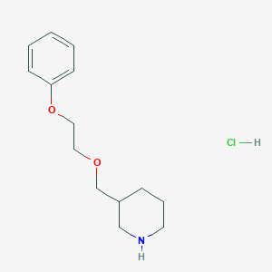 molecular formula C14H22ClNO2 B1397685 3-[(2-Phenoxyethoxy)methyl]piperidine hydrochloride CAS No. 1220021-43-1