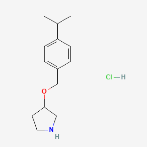 molecular formula C14H22ClNO B1397686 3-[(4-Isopropylbenzyl)oxy]pyrrolidine hydrochloride CAS No. 1220027-43-9