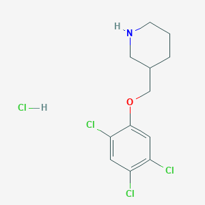 molecular formula C12H15Cl4NO B1397690 3-[(2,4,5-Trichlorophenoxy)methyl]piperidine hydrochloride CAS No. 1219972-44-7