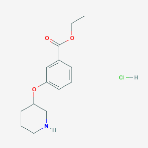 B1397692 Ethyl 3-(3-piperidinyloxy)benzoate hydrochloride CAS No. 1220033-70-4