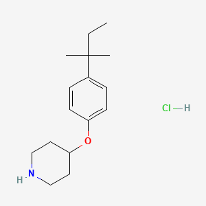 molecular formula C16H26ClNO B1397693 4-(叔戊基)苯基 4-哌啶基醚盐酸盐 CAS No. 1219963-86-6