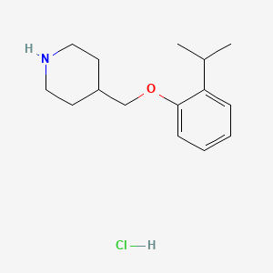 molecular formula C15H24ClNO B1397694 4-[(2-Isopropylphenoxy)methyl]piperidine hydrochloride CAS No. 1219982-10-1