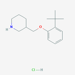 molecular formula C16H26ClNO B1397695 2-(tert-Butyl)phenyl 3-piperidinylmethyl ether hydrochloride CAS No. 1219960-56-1
