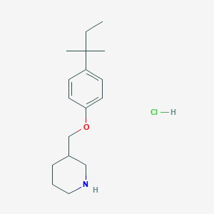 molecular formula C17H28ClNO B1397697 3-{[4-(tert-Pentyl)phenoxy]methyl}piperidine hydrochloride CAS No. 1220029-25-3
