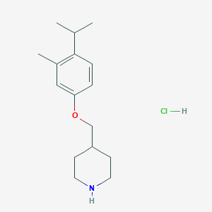 molecular formula C16H26ClNO B1397698 4-[(4-异丙基-3-甲基苯氧基)甲基]哌啶盐酸盐 CAS No. 1219982-73-6