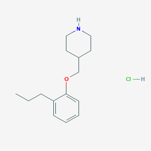 molecular formula C15H24ClNO B1397706 4-[(2-丙基苯氧基)甲基]哌啶盐酸盐 CAS No. 1220037-29-5