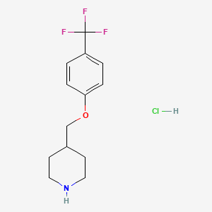 molecular formula C13H17ClF3NO B1397707 4-{[4-(三氟甲基)苯氧基]甲基}哌啶盐酸盐 CAS No. 1219982-20-3