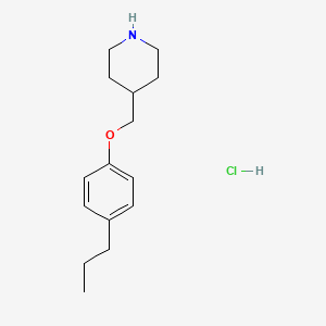 molecular formula C15H24ClNO B1397708 4-[(4-丙基苯氧基)甲基]哌啶盐酸盐 CAS No. 1220034-13-8