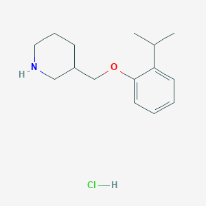 B1397711 3-[(2-Isopropylphenoxy)methyl]piperidine hydrochloride CAS No. 1220018-10-9