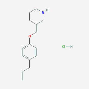 B1397717 3-[(4-Propylphenoxy)methyl]piperidine hydrochloride CAS No. 1219963-82-2