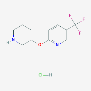 molecular formula C11H14ClF3N2O B1397720 2-(3-哌啶氧基)-5-(三氟甲基)吡啶盐酸盐 CAS No. 1220037-04-6