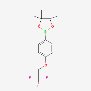 molecular formula C14H18BF3O3 B1398033 4,4,5,5-Tetramethyl-2-(4-(2,2,2-trifluoroethoxy)phenyl)-1,3,2-dioxaborolane CAS No. 886528-42-3