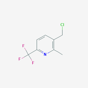 molecular formula C8H7ClF3N B1398051 3-(氯甲基)-2-甲基-6-(三氟甲基)吡啶 CAS No. 917396-29-3