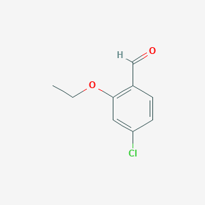 molecular formula C9H9ClO2 B1398115 4-Chloro-2-ethoxybenzaldehyde CAS No. 869088-32-4