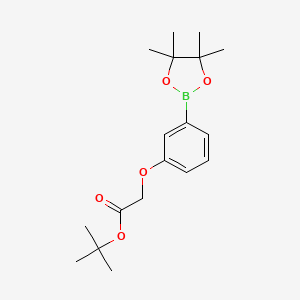 B1398141 [3-(4,4,5,5-Tetramethyl-[1,3,2]dioxaborolan-2-yl)-phenoxy]-acetic acid tert-butyl ester CAS No. 769968-18-5