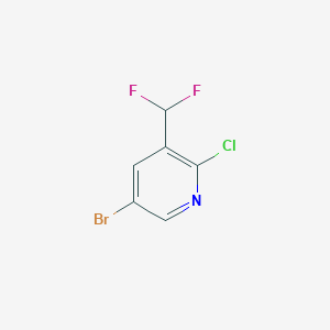 molecular formula C6H3BrClF2N B1398164 5-溴-2-氯-3-(二氟甲基)吡啶 CAS No. 1332392-76-3