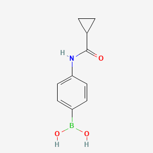 molecular formula C10H12BNO3 B13981923 (4-(Cyclopropanecarboxamido)phenyl)boronic acid 