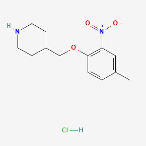 4-[(4-Methyl-2-nitrophenoxy)methyl]piperidine hydrochloride